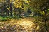 Park w Goświnowicach 95